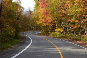 Fototapeta na wymiar a beautiful road in autumn