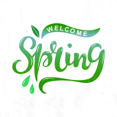 Welcome Spring text as logotype, badge and icon. Hand drawn Spring lettering for Warm season Postcard, card, invitation, flyer, banner template. Vector illustration isolated on textured background