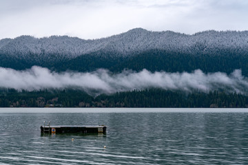 Winter At Lake Quinault