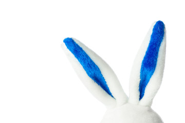 rabbit isolated on white