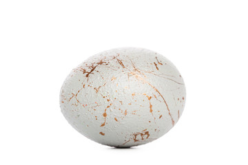 easter background. isolated on white