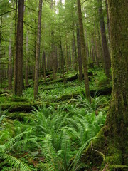 Big Foot's staircase.