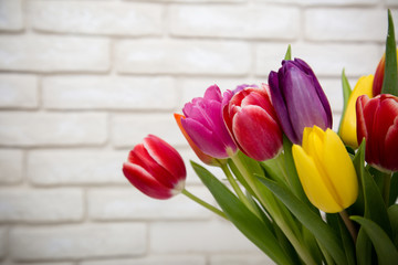 Tulip flowers in front of white brick wall