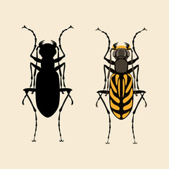 beetle  vector illustration flat style black silhouette