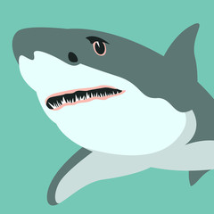 shark vector illustration flat style  profile view