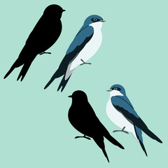 swallow bird vector illustration flat style black silhouette profile