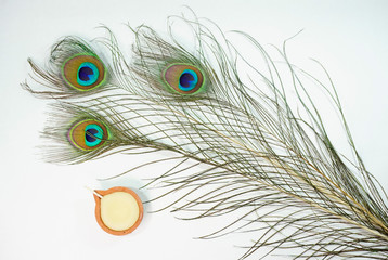 Top or flat lay view of a peacock feathers on a white background with a words HAPPY THAIPUSAM DAY....