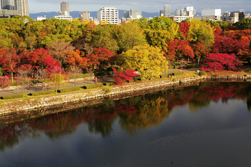 大阪城公園の紅葉