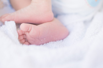 newborn baby feet on white blanket closeup selective focus in soft tone