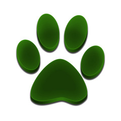 Logo footprint of dog 3d green color