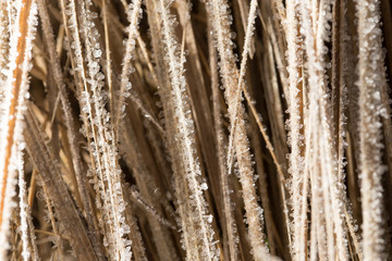 Small snowflakes on dry grass as background