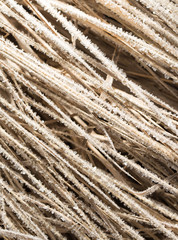 Small snowflakes on dry grass as background