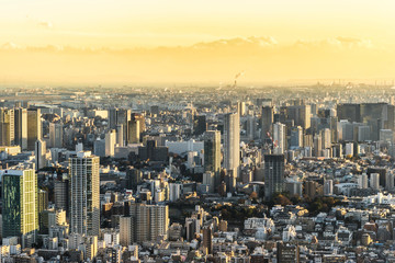 Asia Business concept for real estate and corporate construction - panoramic modern city skyline bird eye aerial view under golden sun in Roppongi Hill, Tokyo, Japan