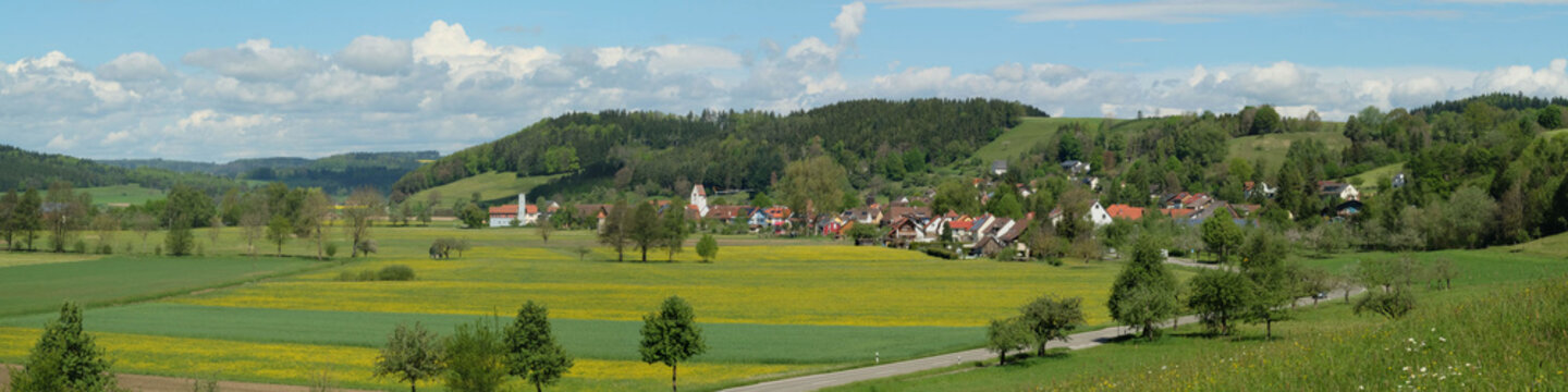 Billafingen im Linzgau