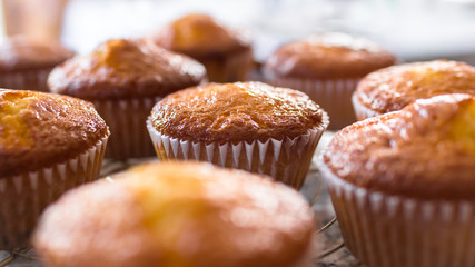 Batch of homemade freshly baked cupcakes or muffins