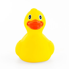 Yellow rubber duck