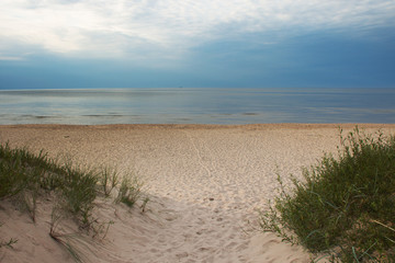 Fototapeta na wymiar Green grass on Baltic sea beach.