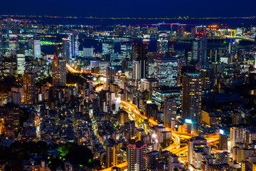 Asia Business concept for real estate & corporate construction - panoramic modern city skyline of Tokyo Tower and Tokyo Metropolitan Expressway junction with neon night in Roppongi Hill, Tokyo, Japan