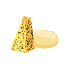 Pieces of cheese, fresh and healthy dairy product vector illustration
