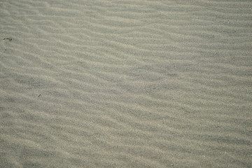 砂浜