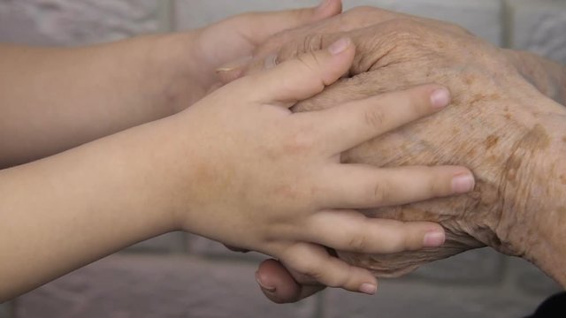 The child strokes the old hands. Children's hands embrace the hands of an elderly person.