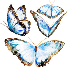 beautiful blue butterflies, watercolor, set, isolated on a white