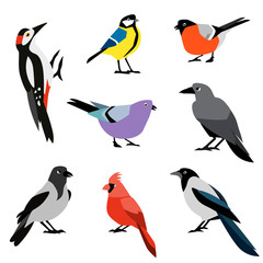 Set of winter birds. Flat design vector birds icon set.