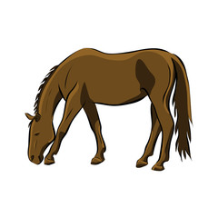 Hand drawn brown horse, vector