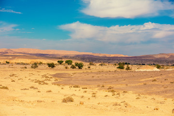 Fototapeta na wymiar desert landscape with blue sky
