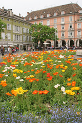 Bolzano, piazza Walther fiorita