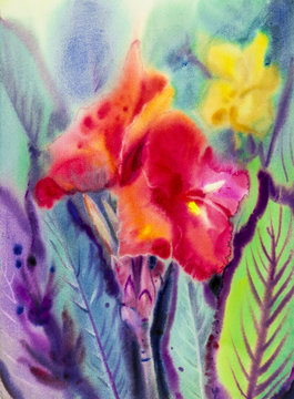 Watercolor landscape original painting colorful of canna lily flowers.