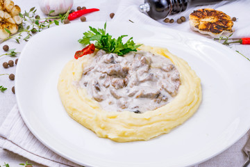 beef Stroganoff with mashed potatoes