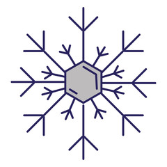 snowflake weather isolated icon