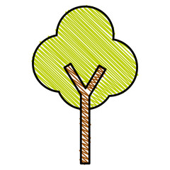 tree plant isolated icon
