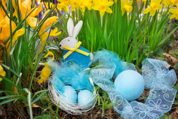 Ostereier im Osternest, Krokusse und Osterglocken blühen