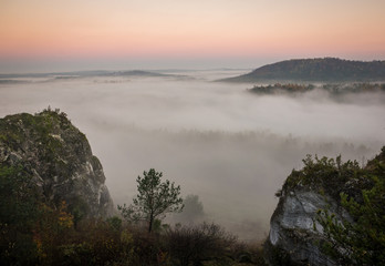 Foggy morning on the Jura Krakowsko-Czestochowska, Bobolice, Poland