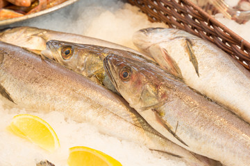 Fresh hakes at a fishmonger