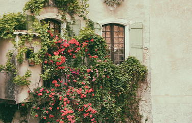 Fototapeta na wymiar Lovely french town glimpse with windows and rose garden