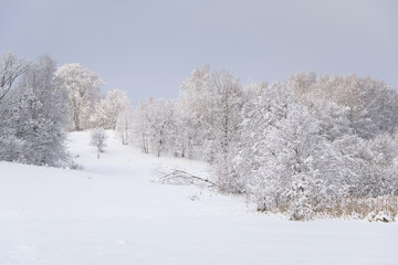 Countryside landscape in a deep winter