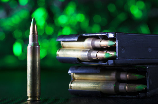 AR-15 shells and a pair of metal magazines