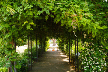 Beautiful romantic archway under trees with sunshine at the end of the road. Tunnel of love formed by trees.