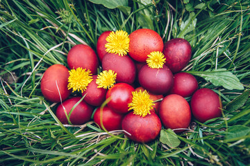 Red easter eggs on the grass with flowers and blowballs, spring holidays concept, naturally colored easter eggs with onion husks. Happy Easter, Christian religious holiday.