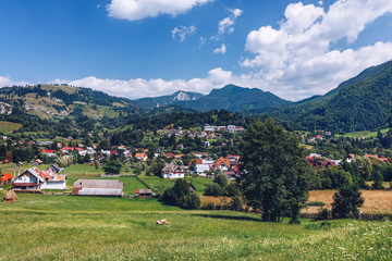 Fototapeta na wymiar Carpathian mountains summer landscape with blue sky and clouds, natural background. Panoramic view