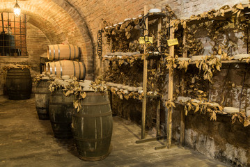 Wine barrels and pecorino cheese (a hard Italian cheeses made from ewe's milk) in a traditional cellar