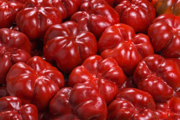 Red Bulgarian pepper
