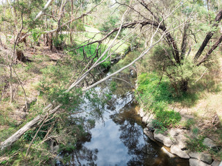 Stream running through Gardiners Creek in Melbourne, Australia.