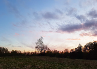 Beautiful cloudscape. Sunset landscape with forest.