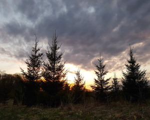 Obraz premium Beautiful cloudscape. Sunset landscape with forest.