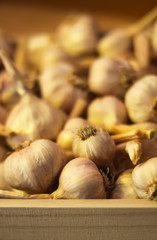 Fresh garlic cloves background.