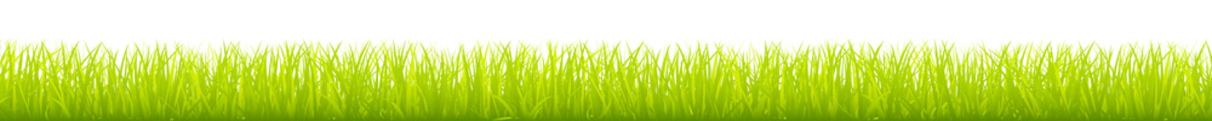 Bilder und Videos suchen: rasenkante